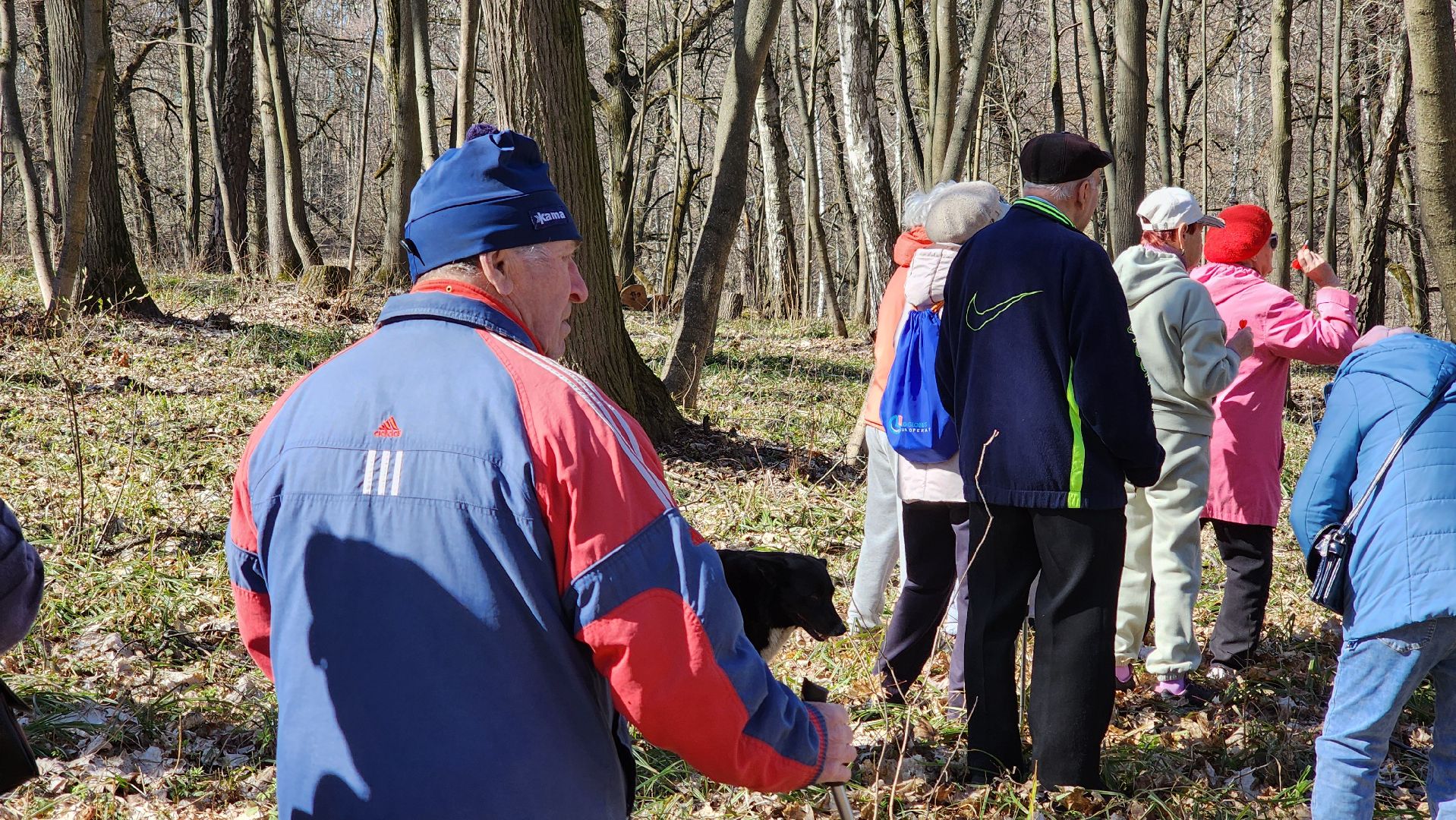 кашира, спорт, парк, зож, день здоровья, дартс, турнир, активное долголетие,