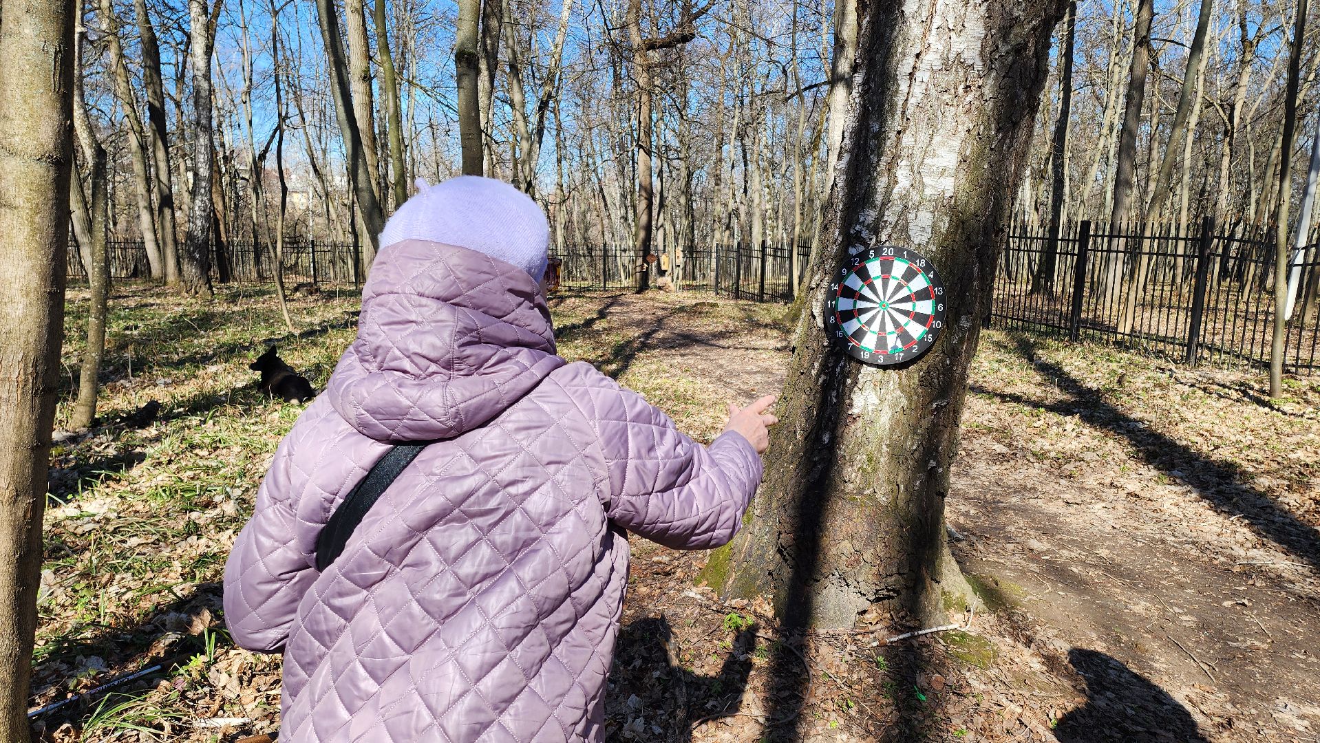 кашира, спорт, парк, зож, день здоровья, дартс, турнир, активное долголетие,