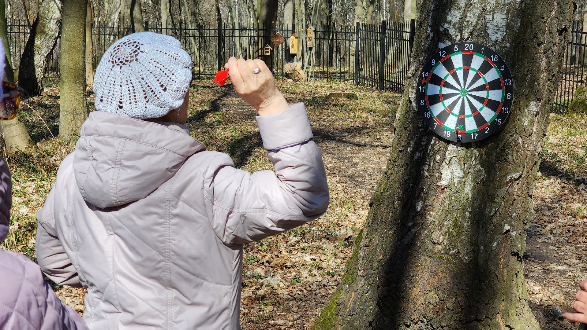 кашира, спорт, парк, зож, день здоровья, дартс, турнир, активное долголетие,