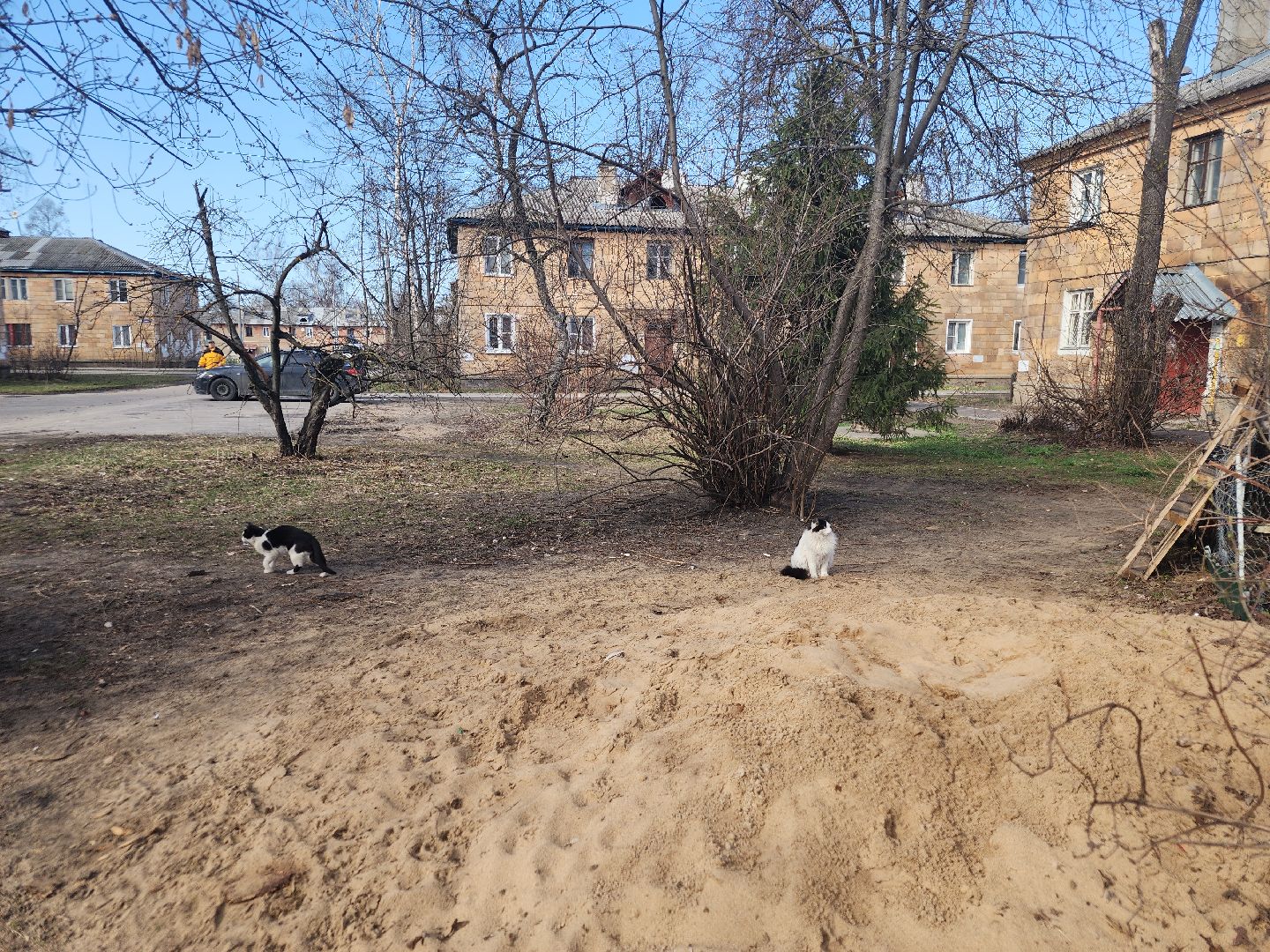 благоустройство дворов, орехово зуево,