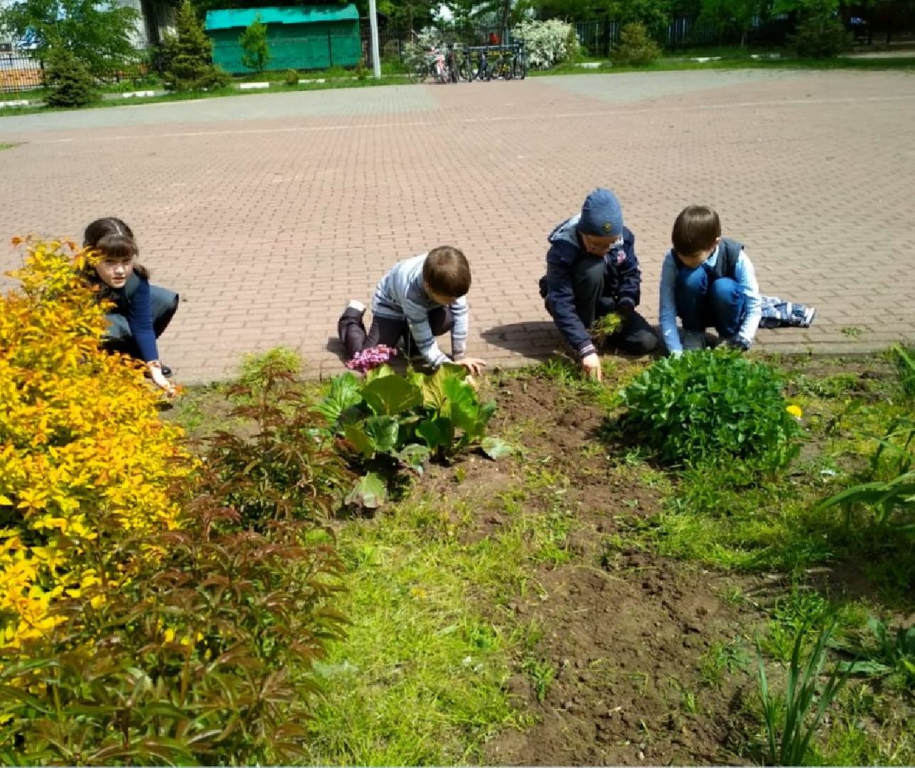 Город-Сад, конкурс, фото, видео, ВООПИК