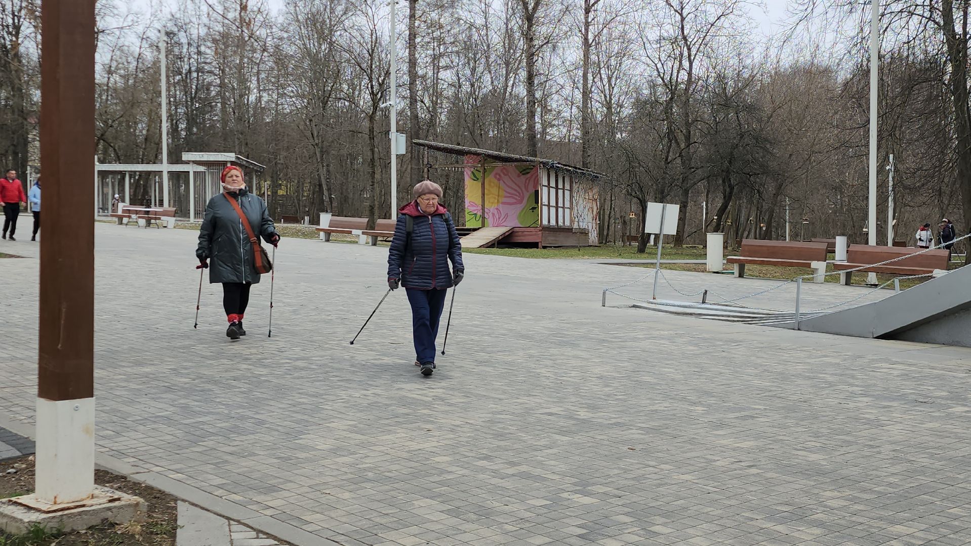 Спорт, Истра, Скандинавская ходьба, Парки,