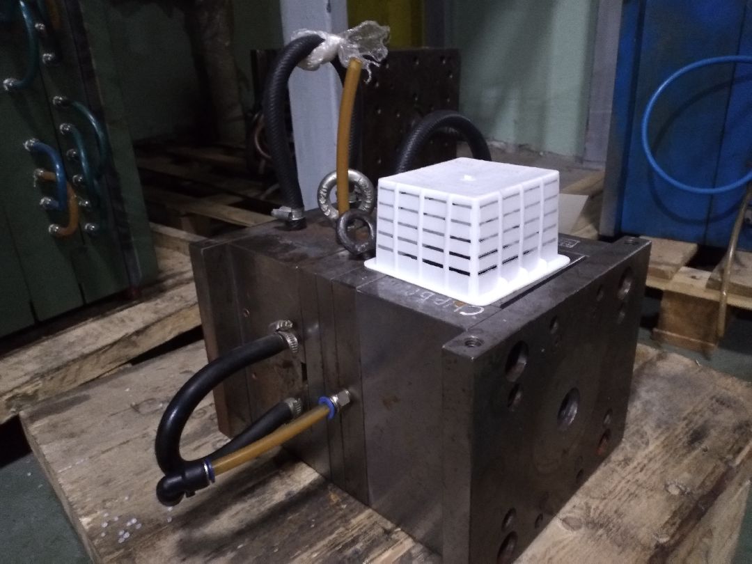 Лосино-Петровский, общество