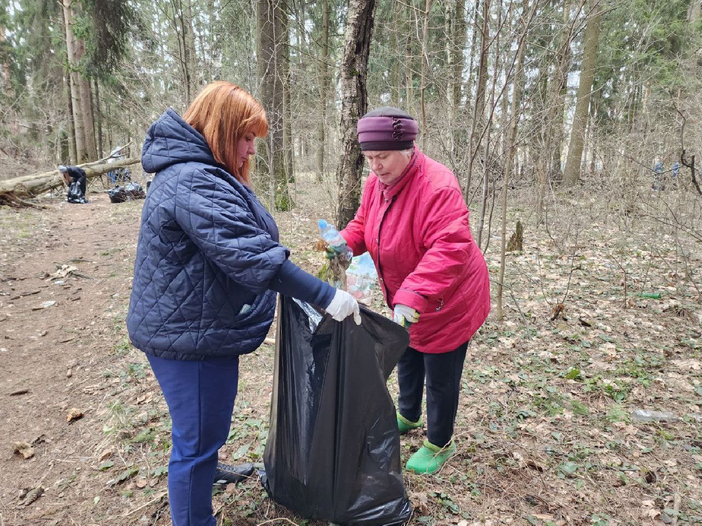 солнечногорск, субботник, уборка, жители, инвентарь,