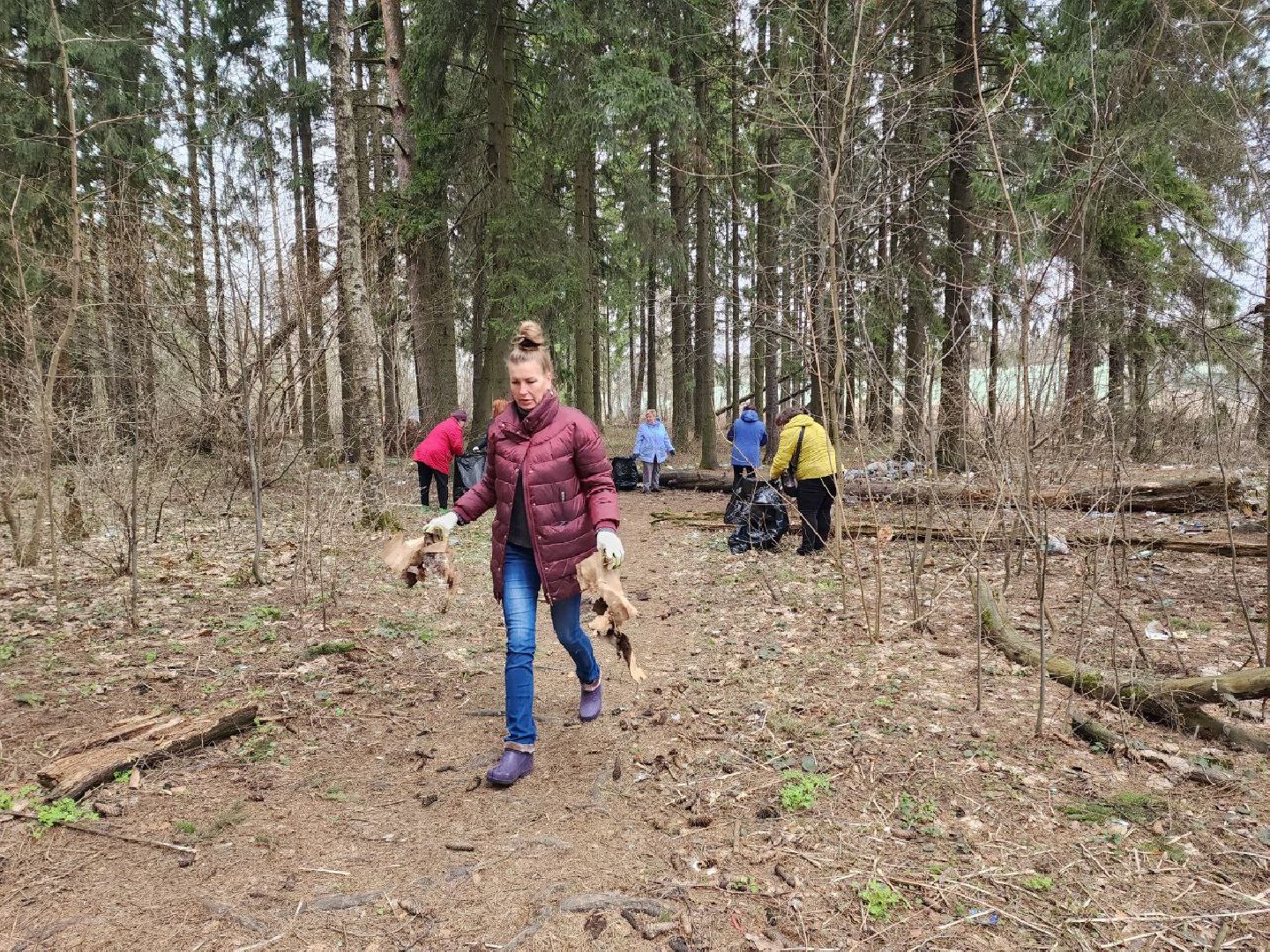 солнечногорск, субботник, уборка, жители, инвентарь,