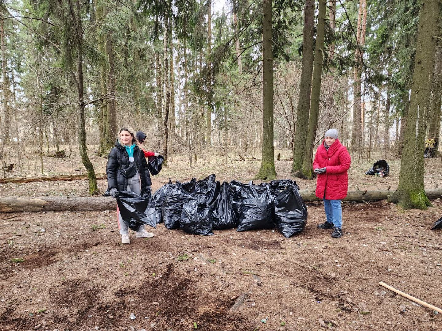 солнечногорск, субботник, уборка, жители, инвентарь,
