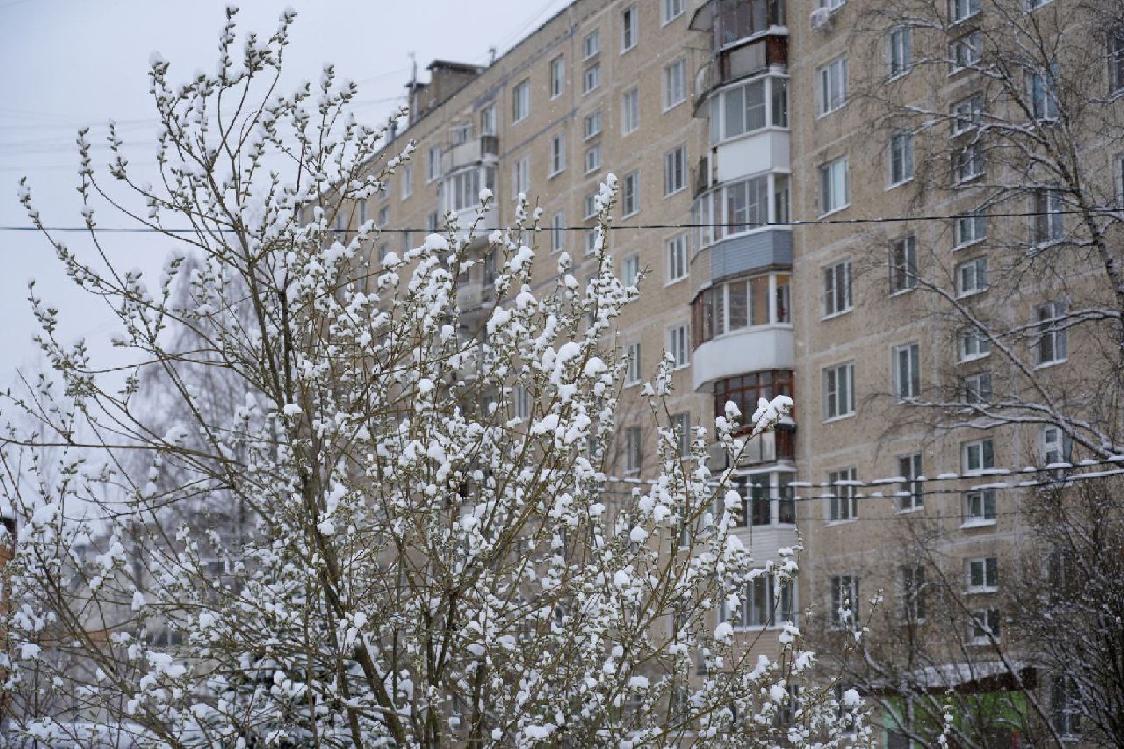 благоустройство, снегопад, сергиев посад, сергиево-посадский городской округ, уборка снега, апрельский снегопад,