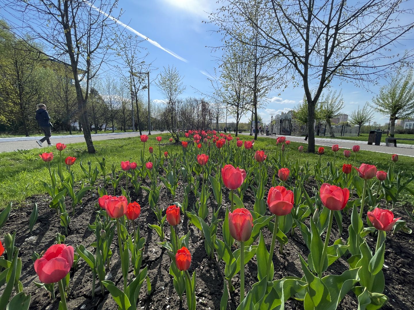 Одинцово, площадь, благоустройство, цветы,