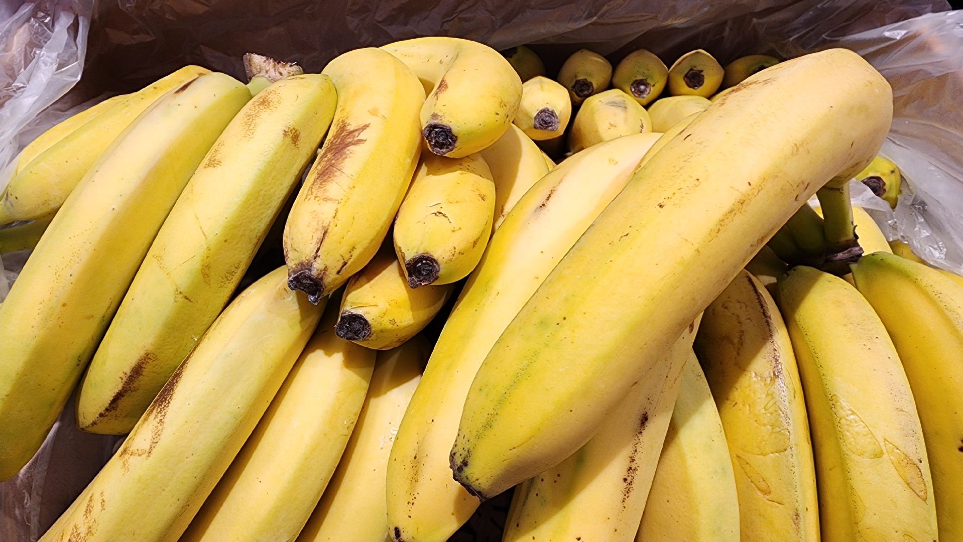 супермаркет, открытие магазина, пятерочка, Старая Купавна, Богородский городской округ,