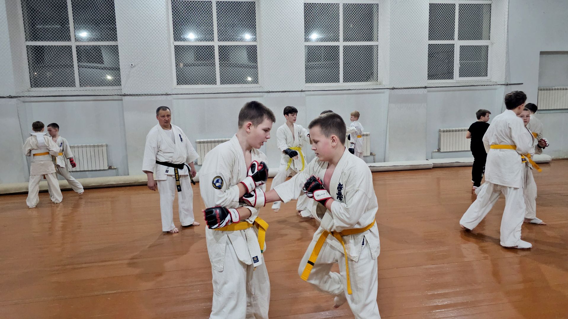 луховицы, спорт в луховицах, киокусинкай,