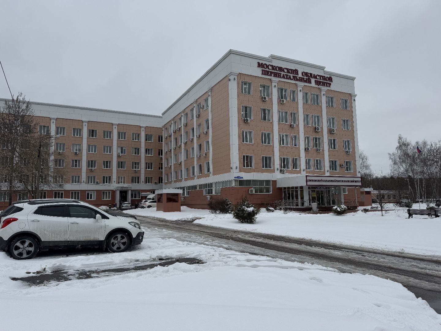 медицина, день беременных, балашиха, мопц, московский областной перинатальный центр,