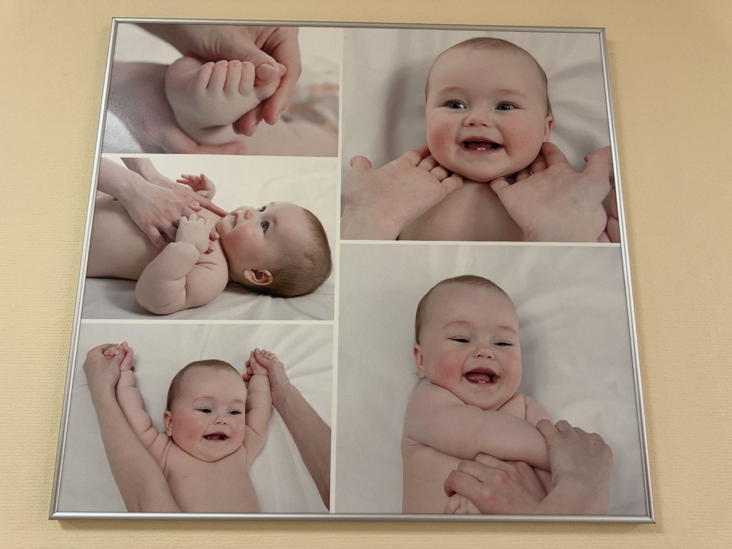 медицина, день беременных, балашиха, мопц, московский областной перинатальный центр,