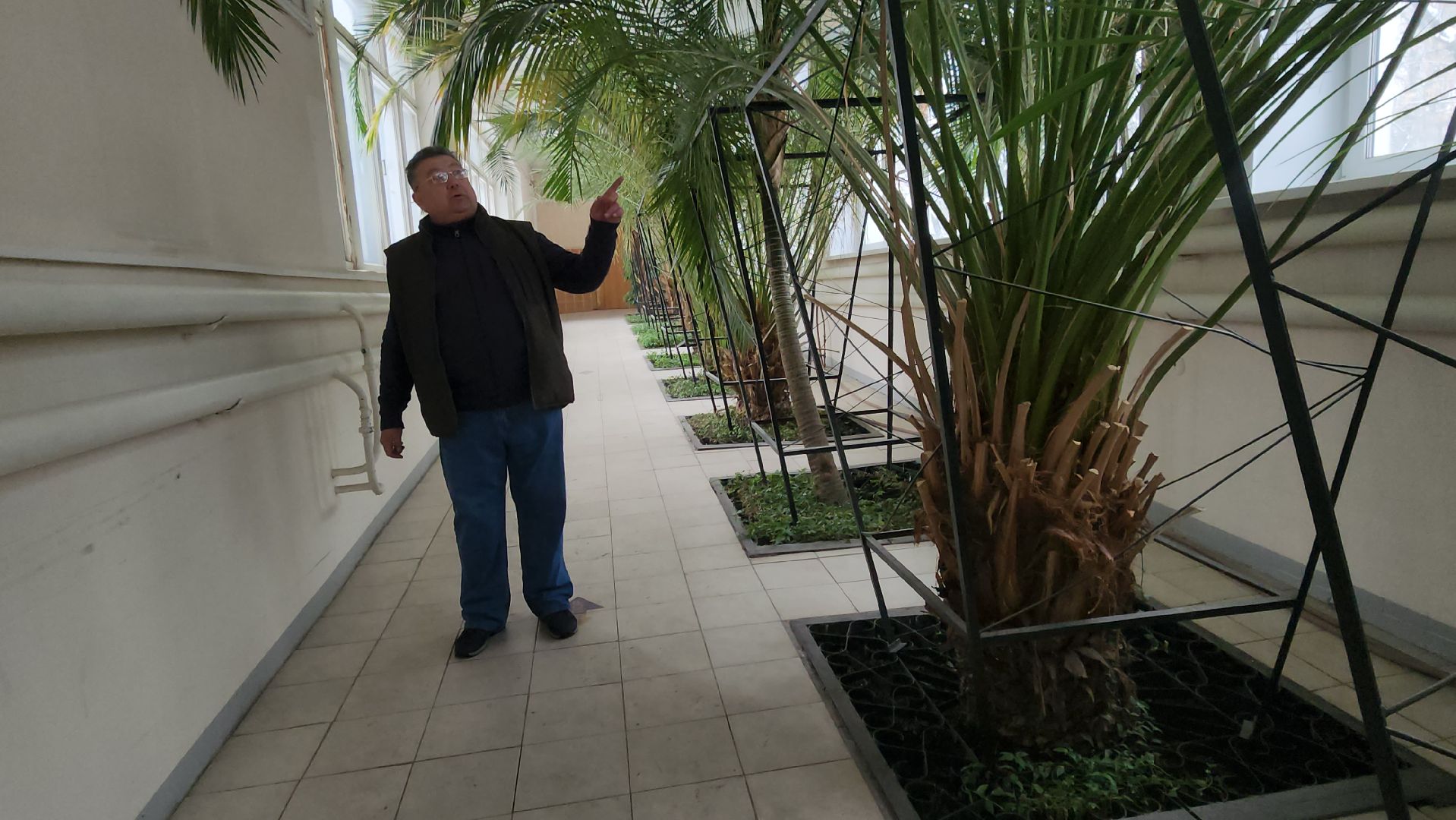 люберцы, глава городского округа люберцы владимир волков, люберецкая больница, оранжерея пальм, ухтомская больница,