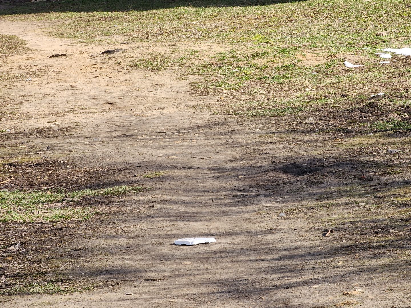 Павловский Посад , Власть, Благоустройство ,