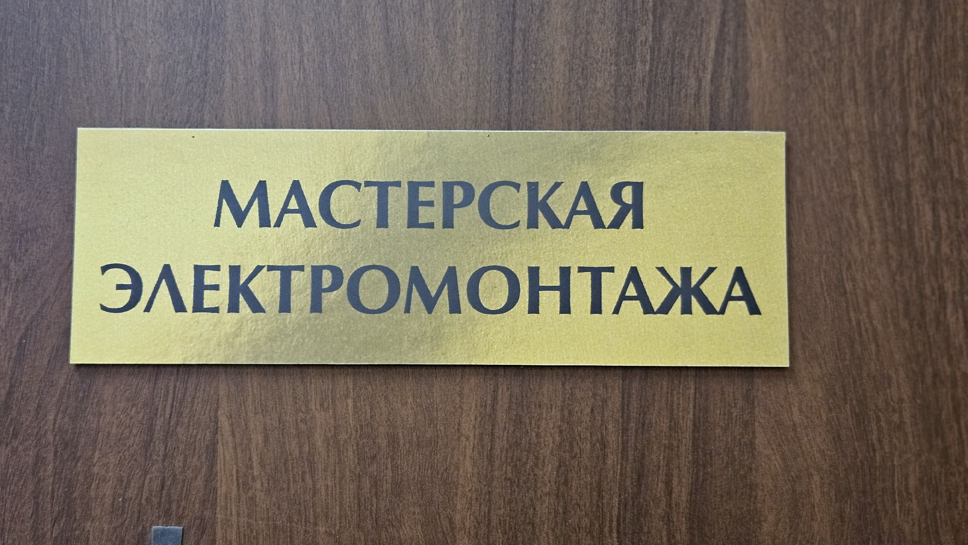 жуковский, электромонтаж, профессионалы-2025, абилимпикс,