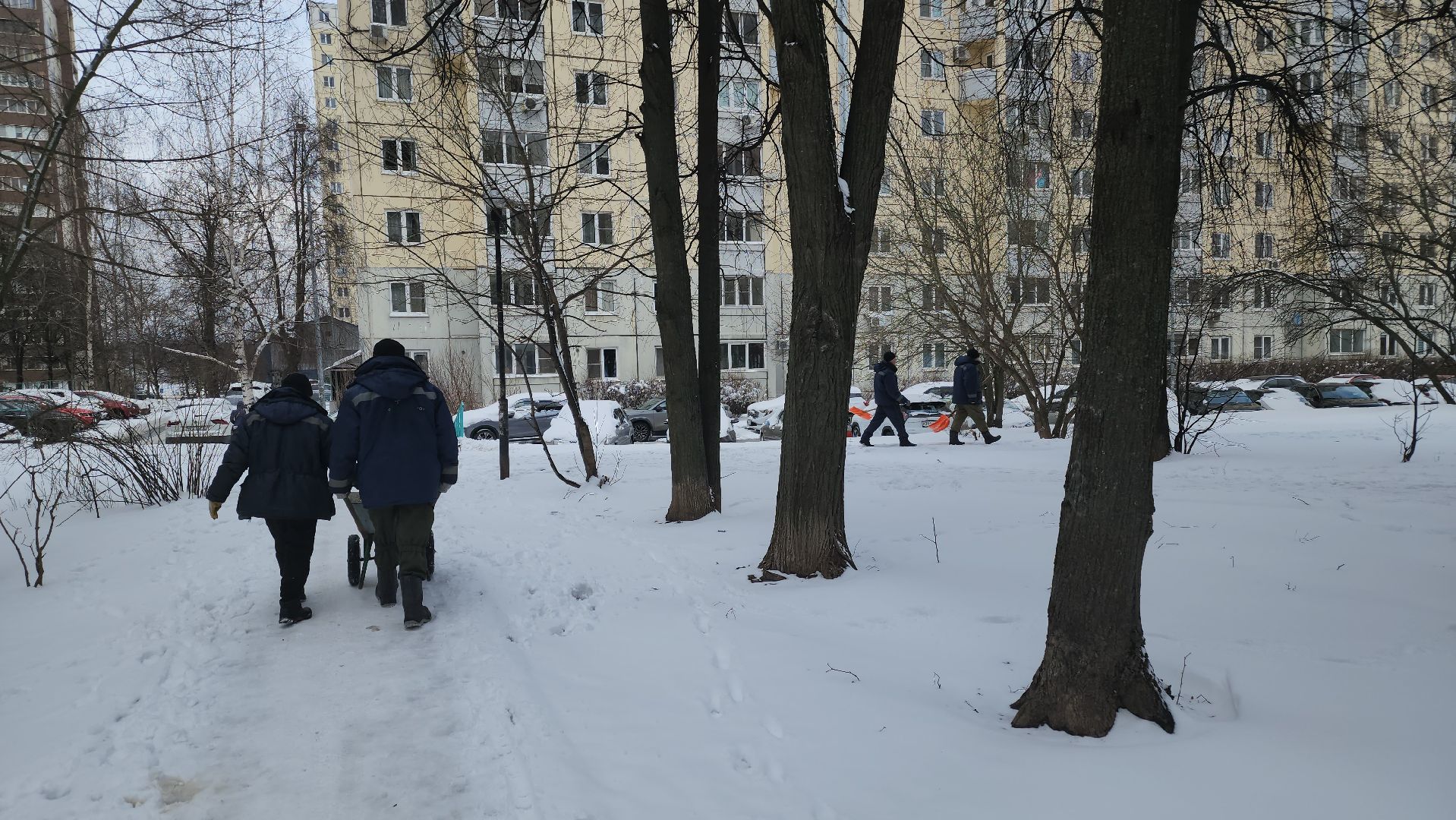 долгопрудный, уборка снега, дворники, коммунальщики, специальная техника, снегопад,