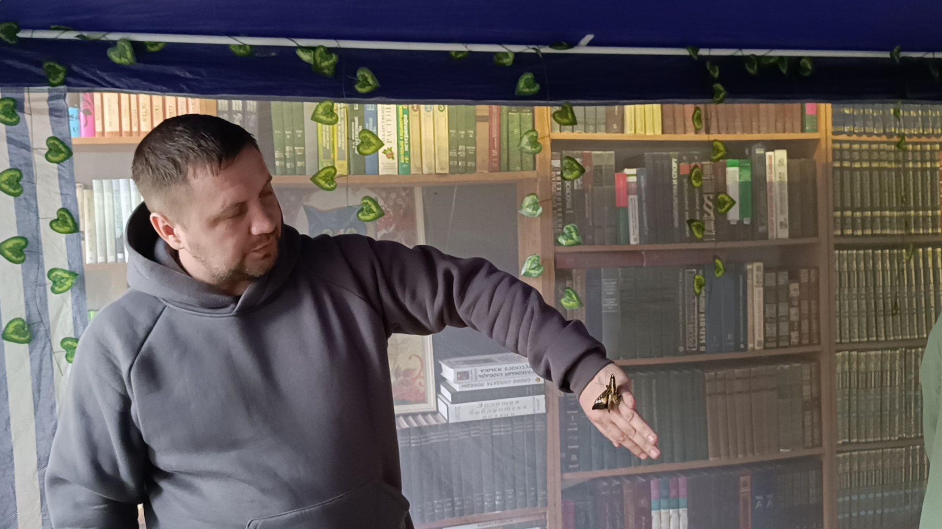 бабочка, выставка, лобня, библиотека,