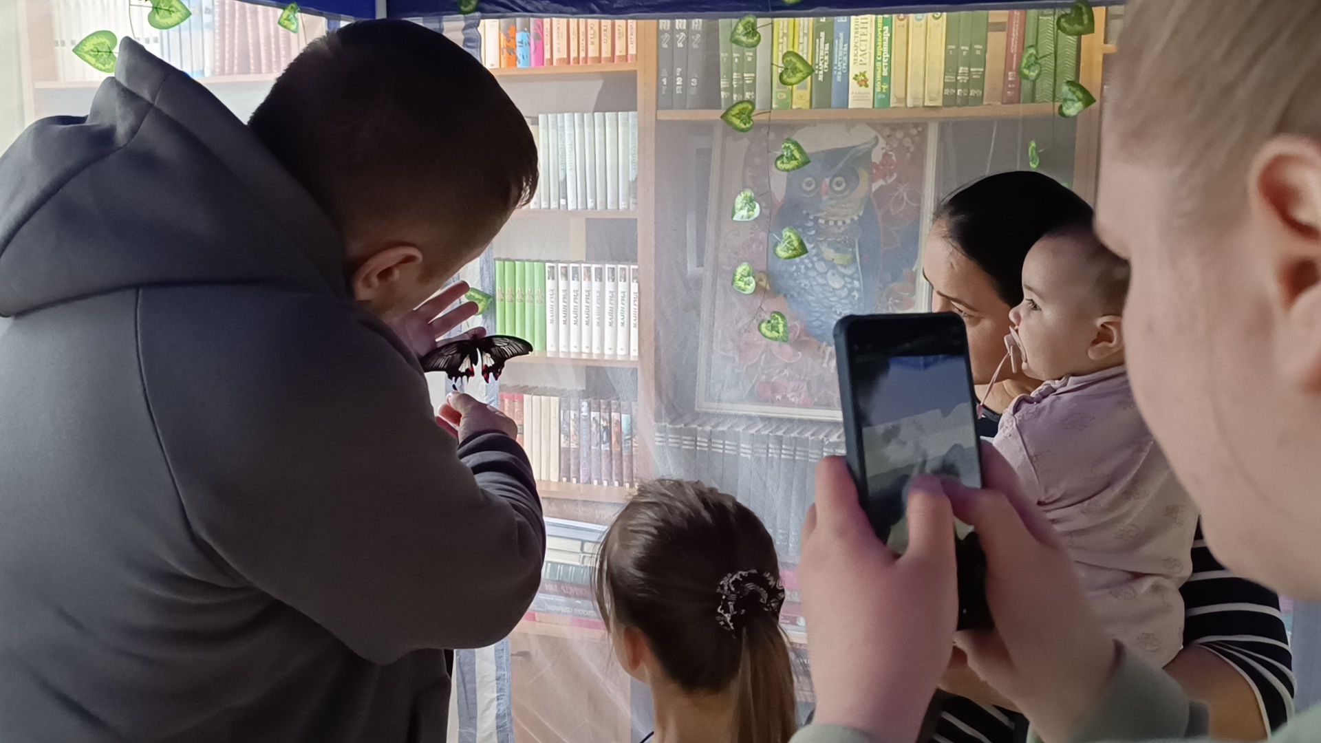 бабочка, выставка, лобня, библиотека,