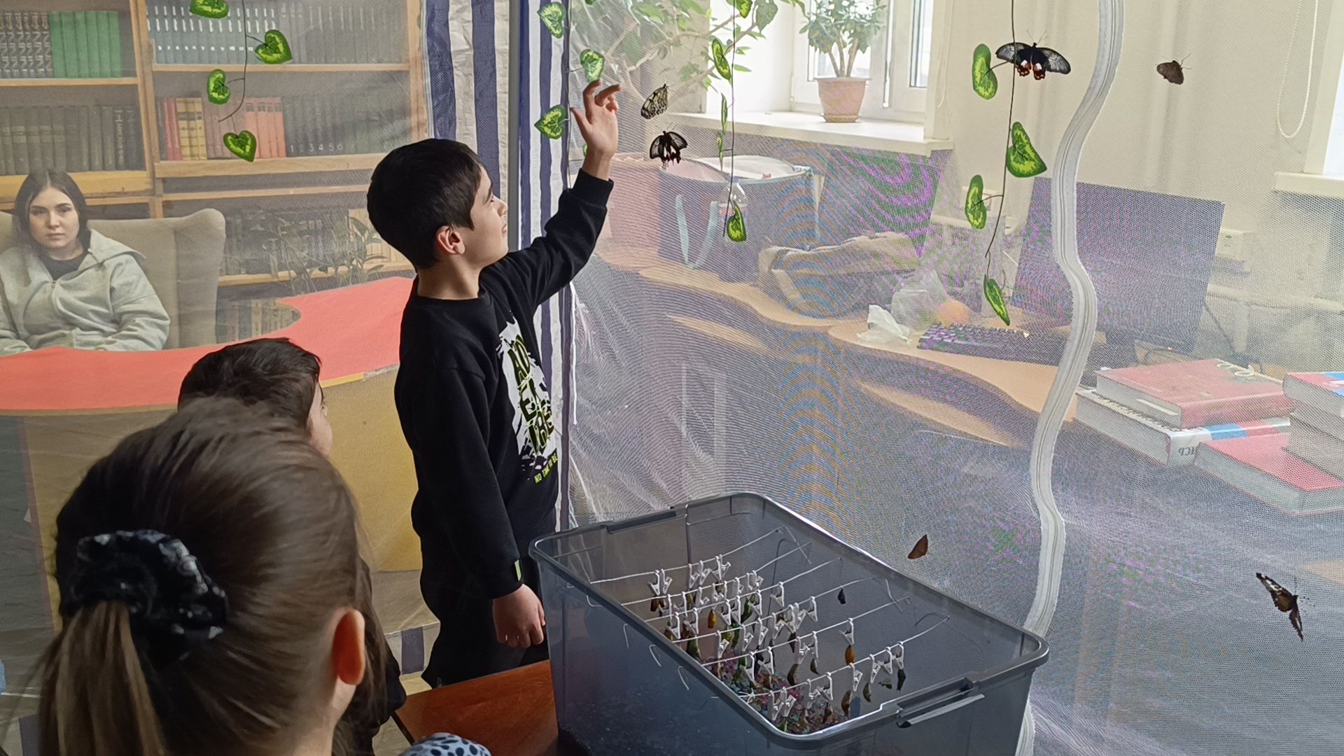 бабочка, выставка, лобня, библиотека,