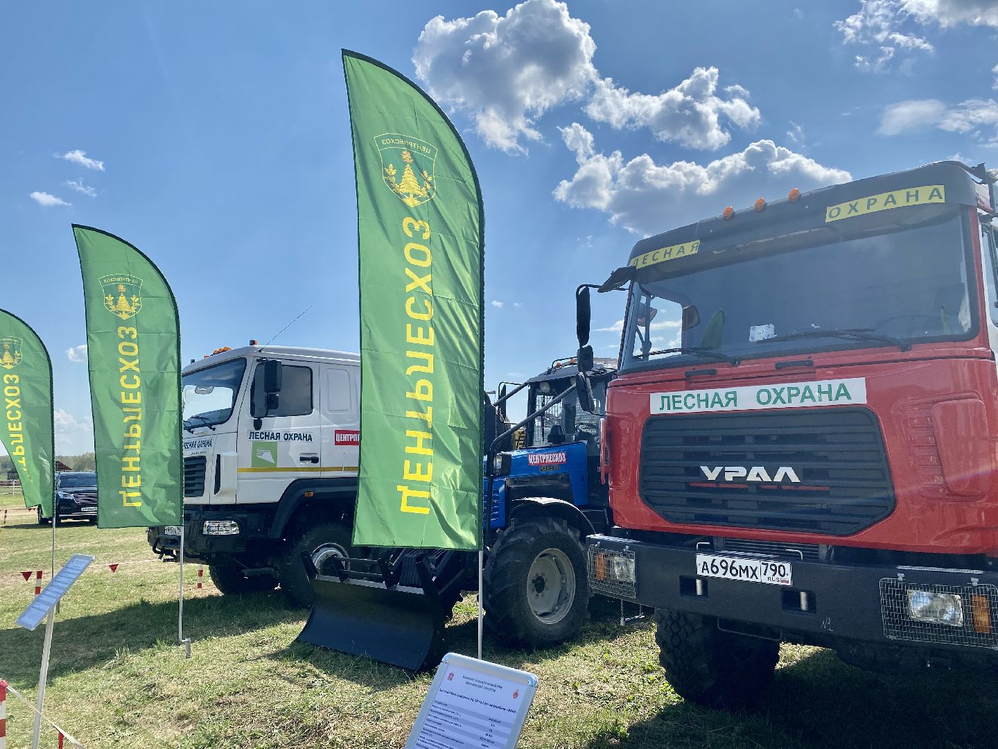 Клин, лес, мечта, лесопожарная станция