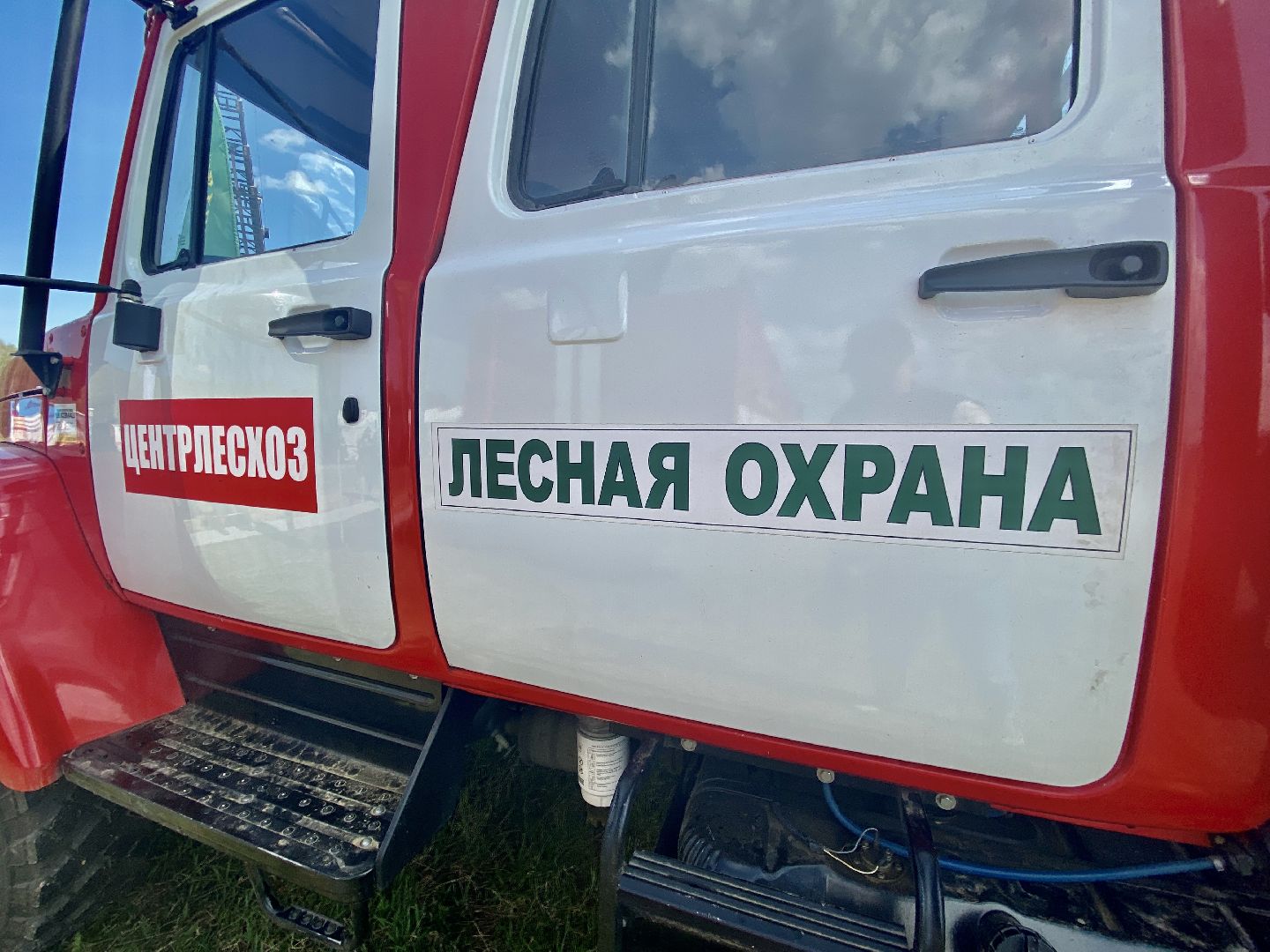 Клин, лес, мечта, лесопожарная станция