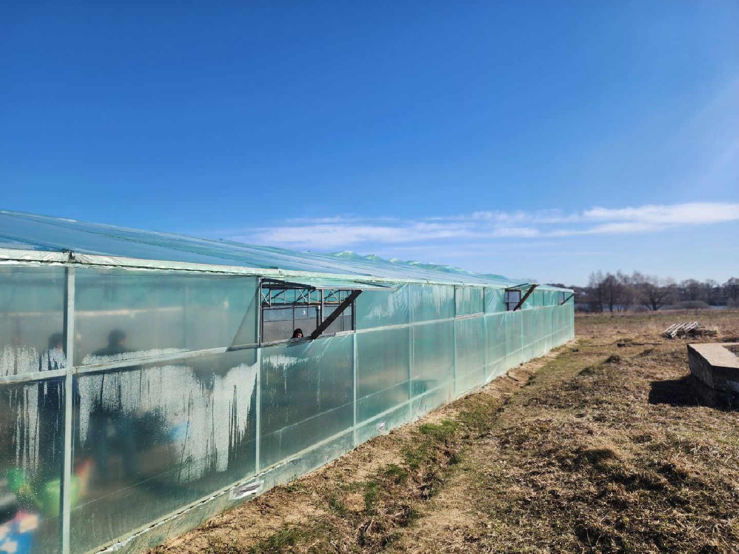 воскресенск, экономика, тепличное хозяйство, меры поддержки бизнеса,