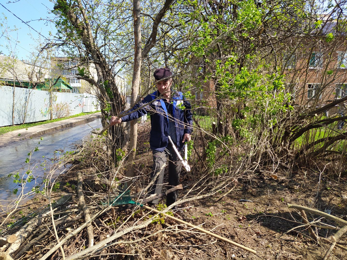 Обрезка деревьев, крона, ЖКХ