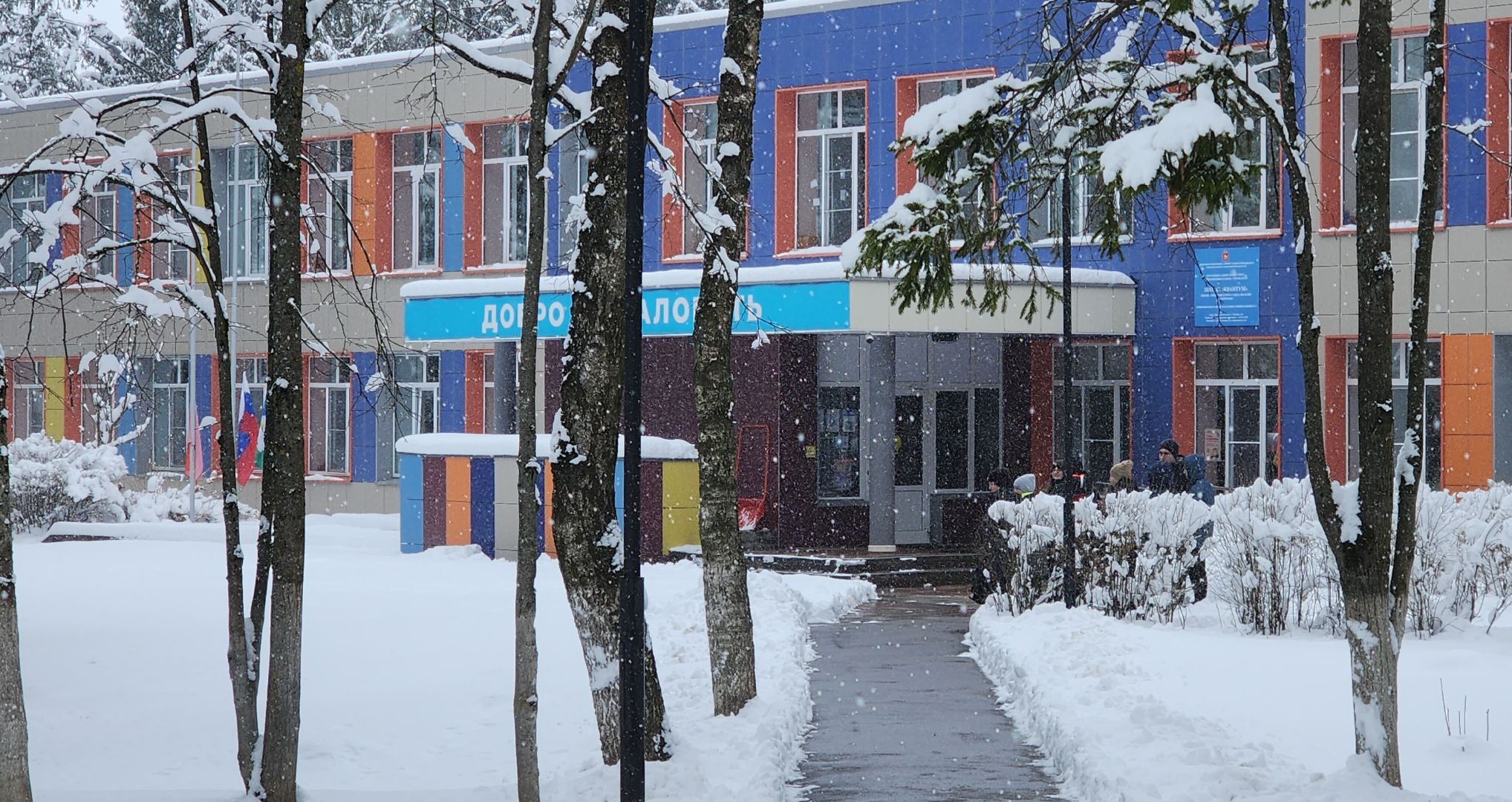 Транспорт, Образование, Школьные автобусы, Безопасность детей,