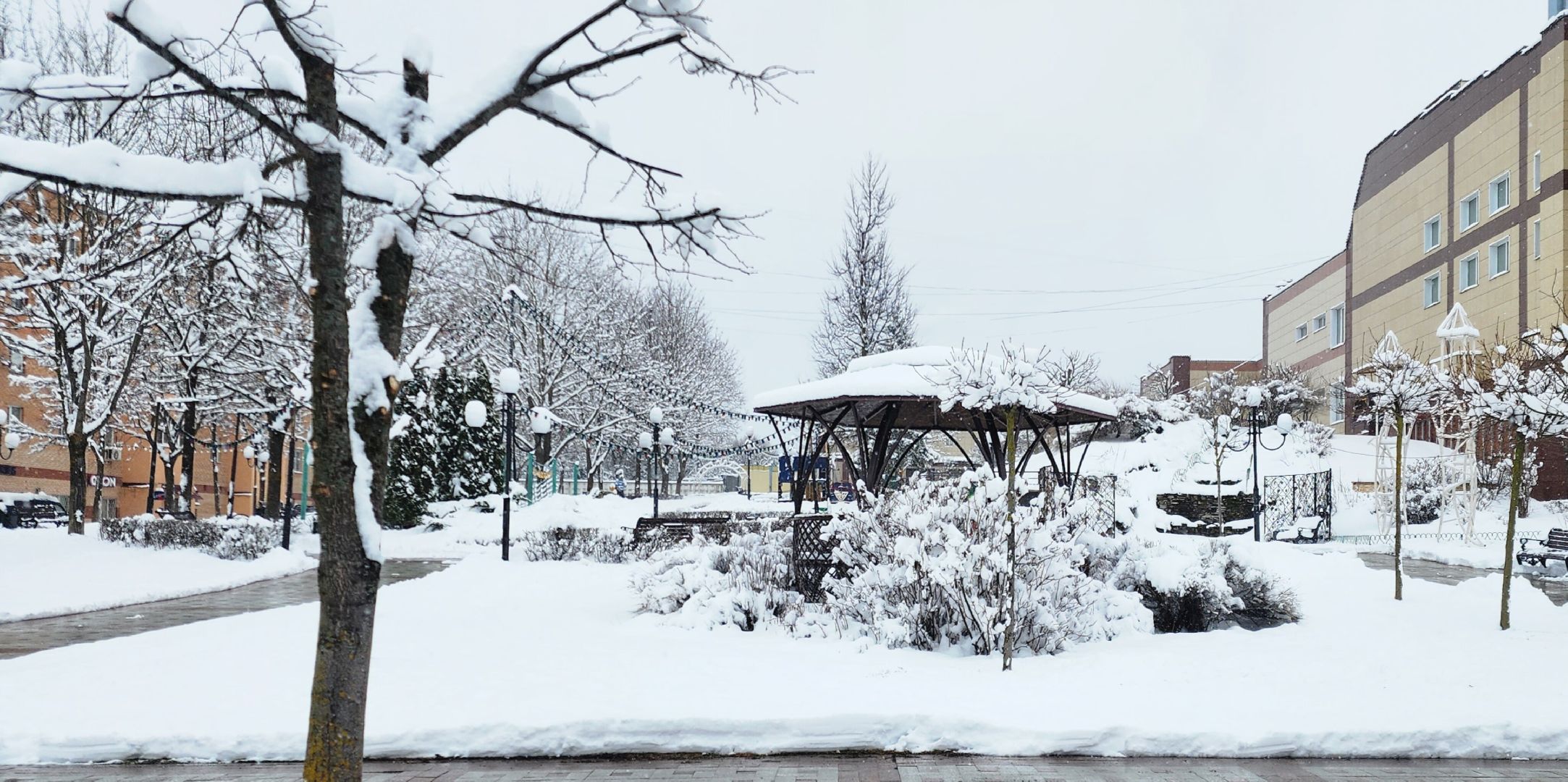 Транспорт, Образование, Школьные автобусы, Безопасность детей,