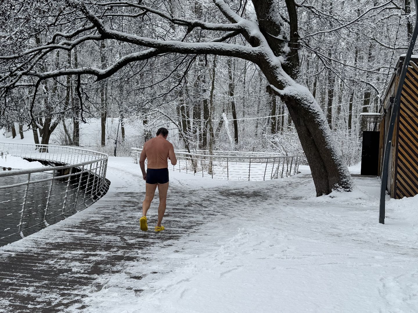 моржевание, балашиха, пехорка,