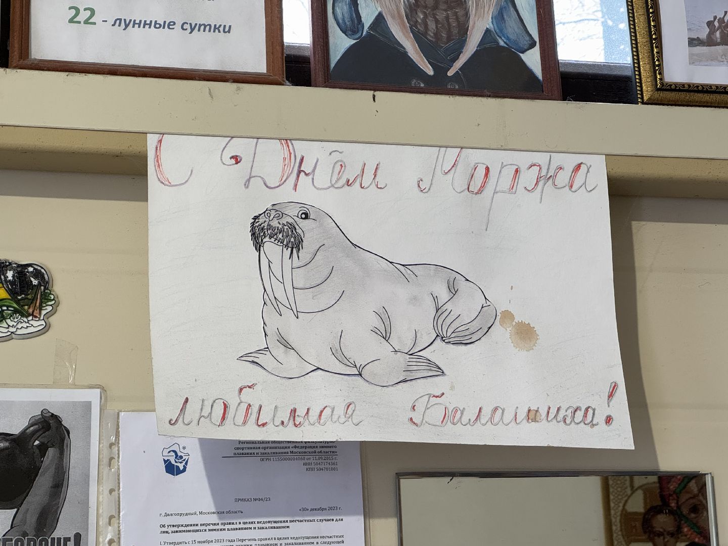 моржевание, балашиха, пехорка,