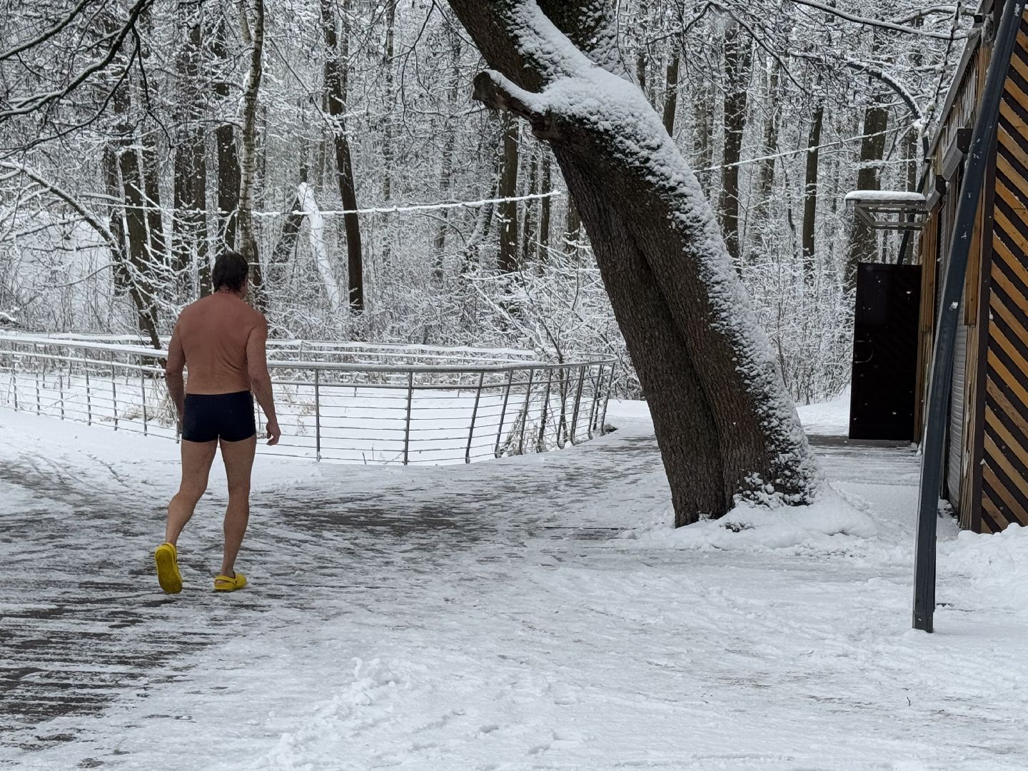 моржевание, балашиха, пехорка,