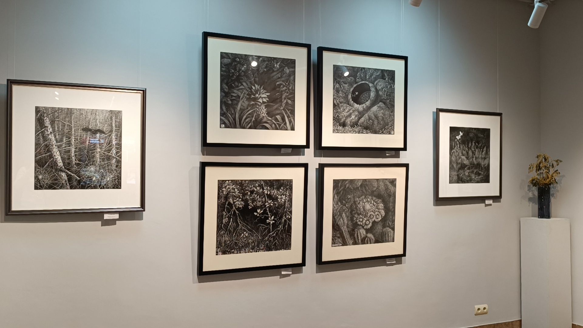 выставка, лобня, космос,