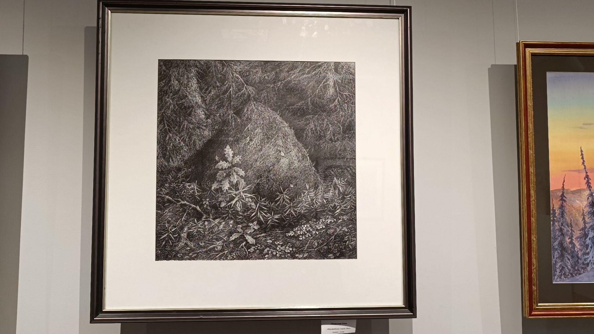 выставка, лобня, космос,