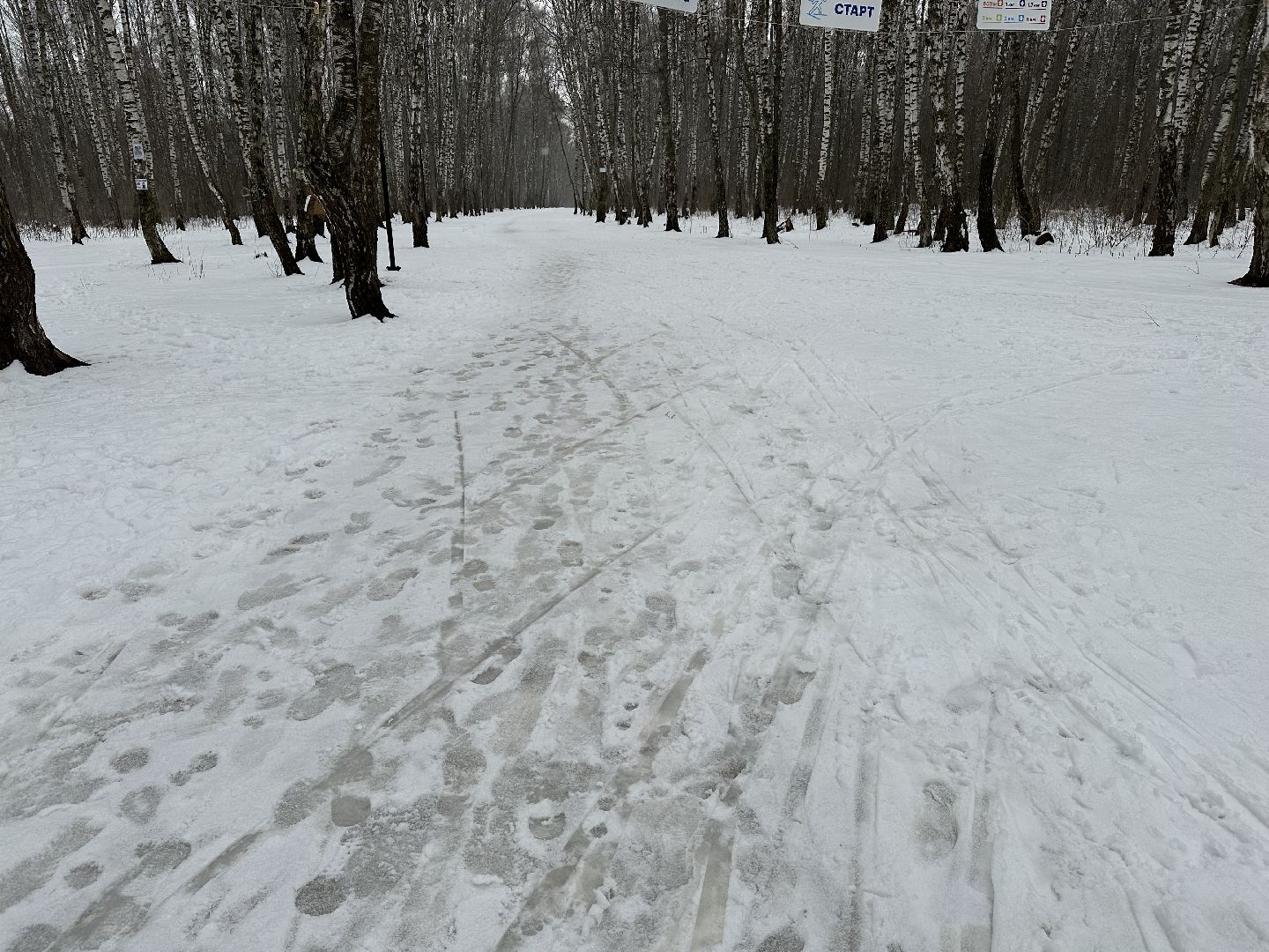 спорт, лыжи, домодедово,