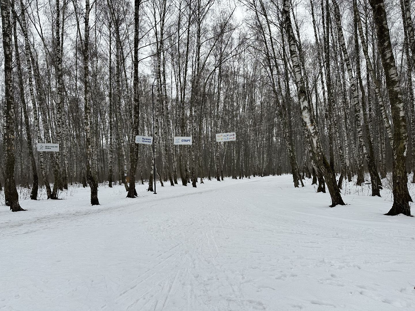 спорт, лыжи, домодедово,