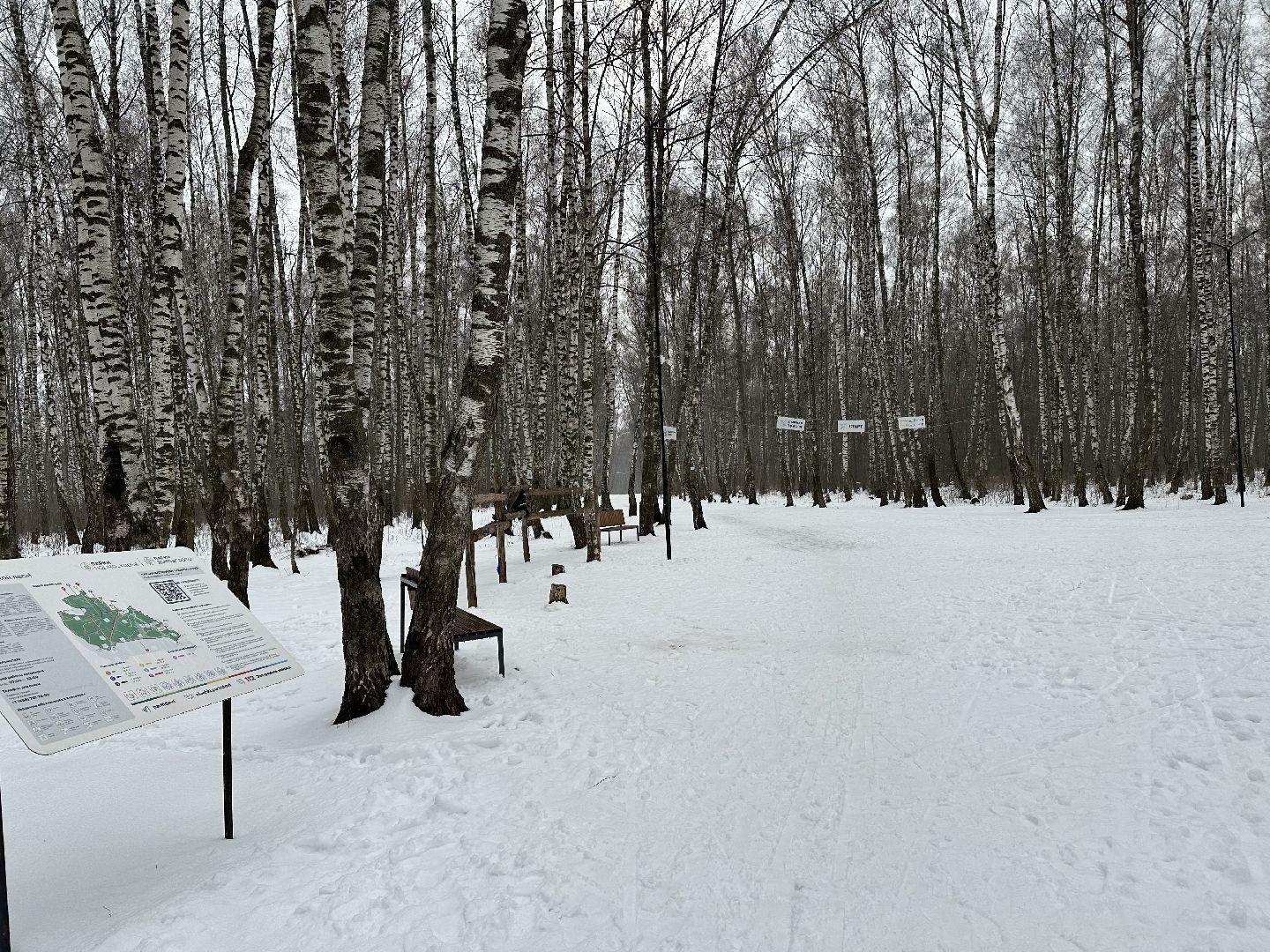 спорт, лыжи, домодедово,