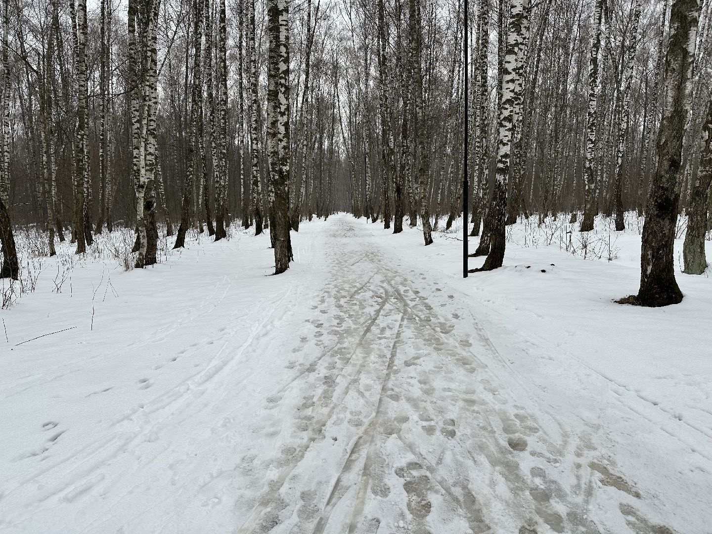 спорт, лыжи, домодедово,