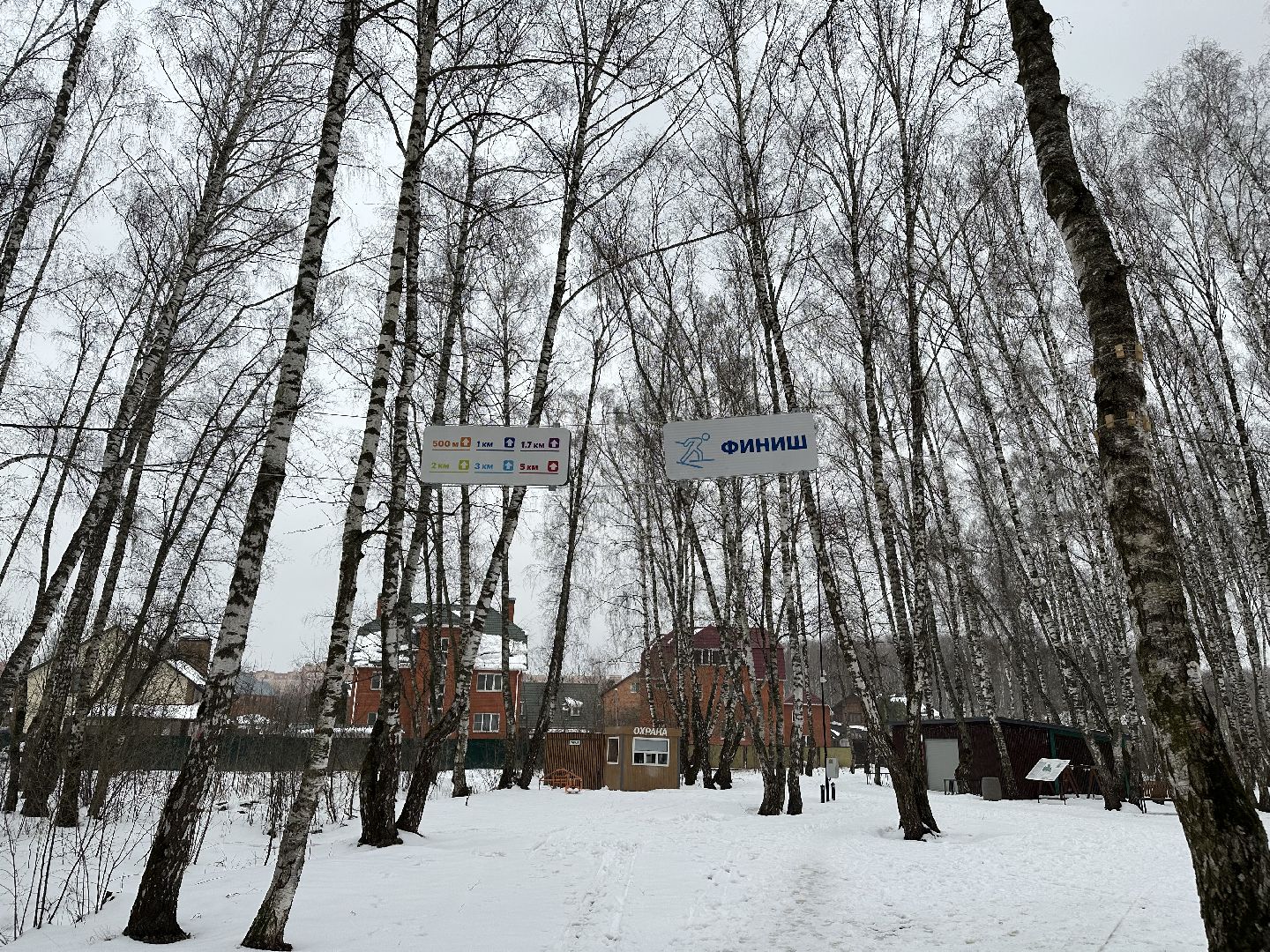 спорт, лыжи, домодедово,