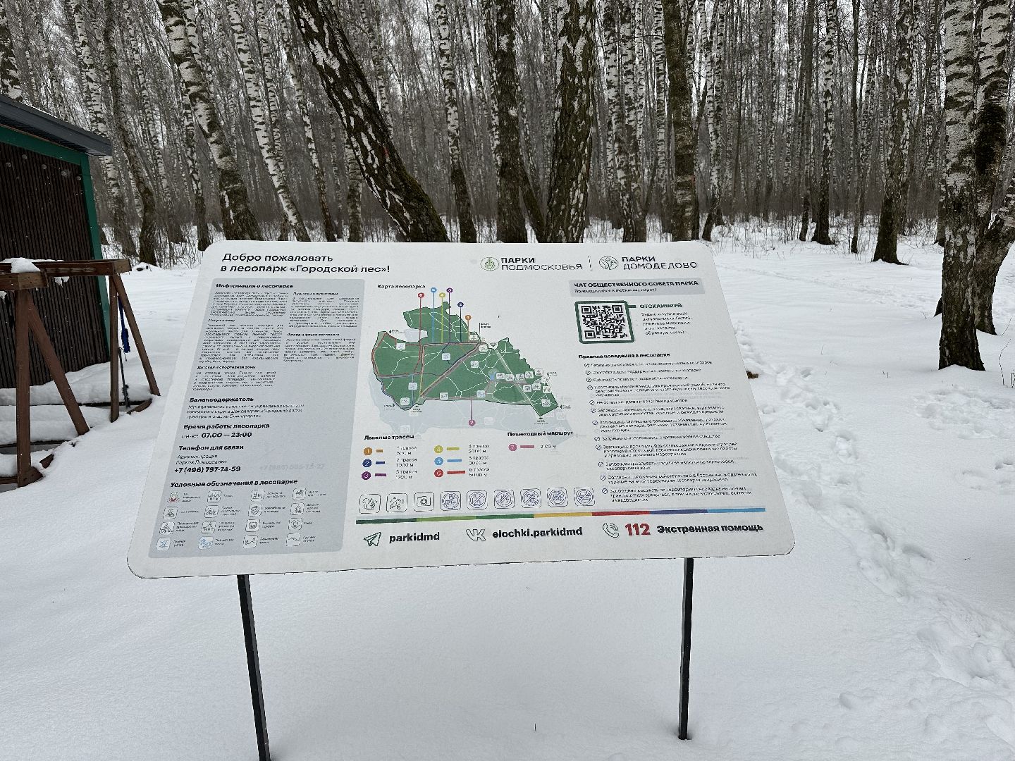 спорт, лыжи, домодедово,