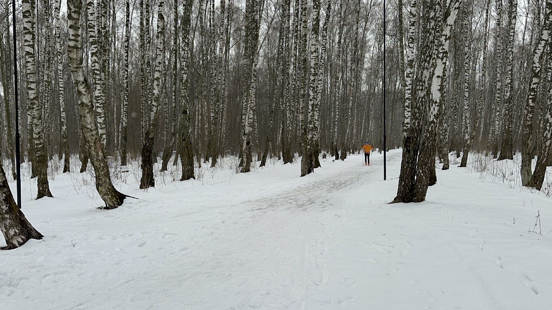 спорт, лыжи, домодедово,