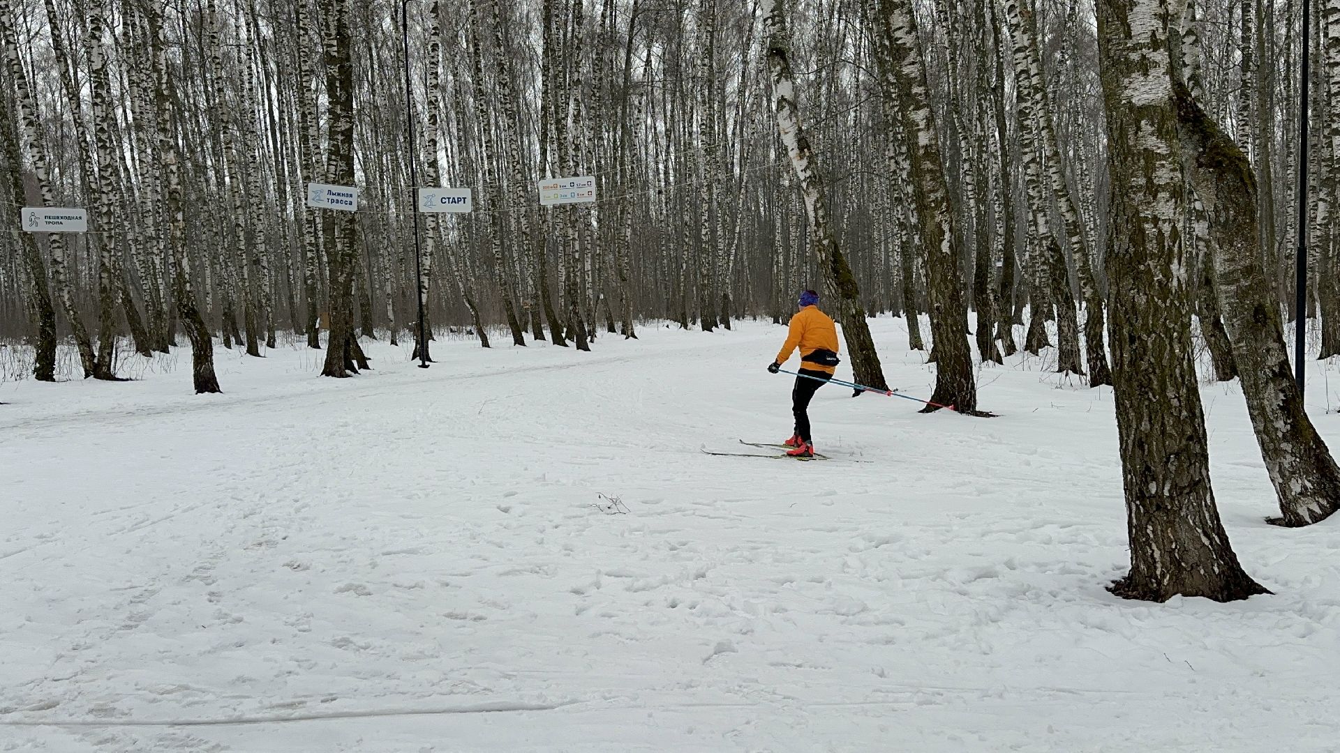 спорт, лыжи, домодедово,