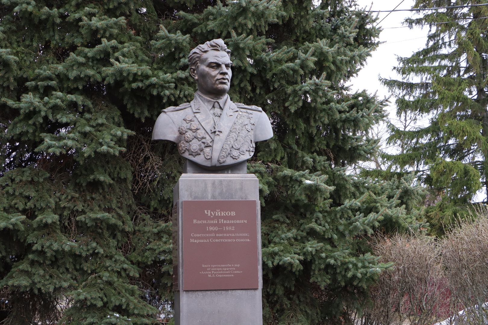 культура, астрономия, малая планета, Чуйковия,