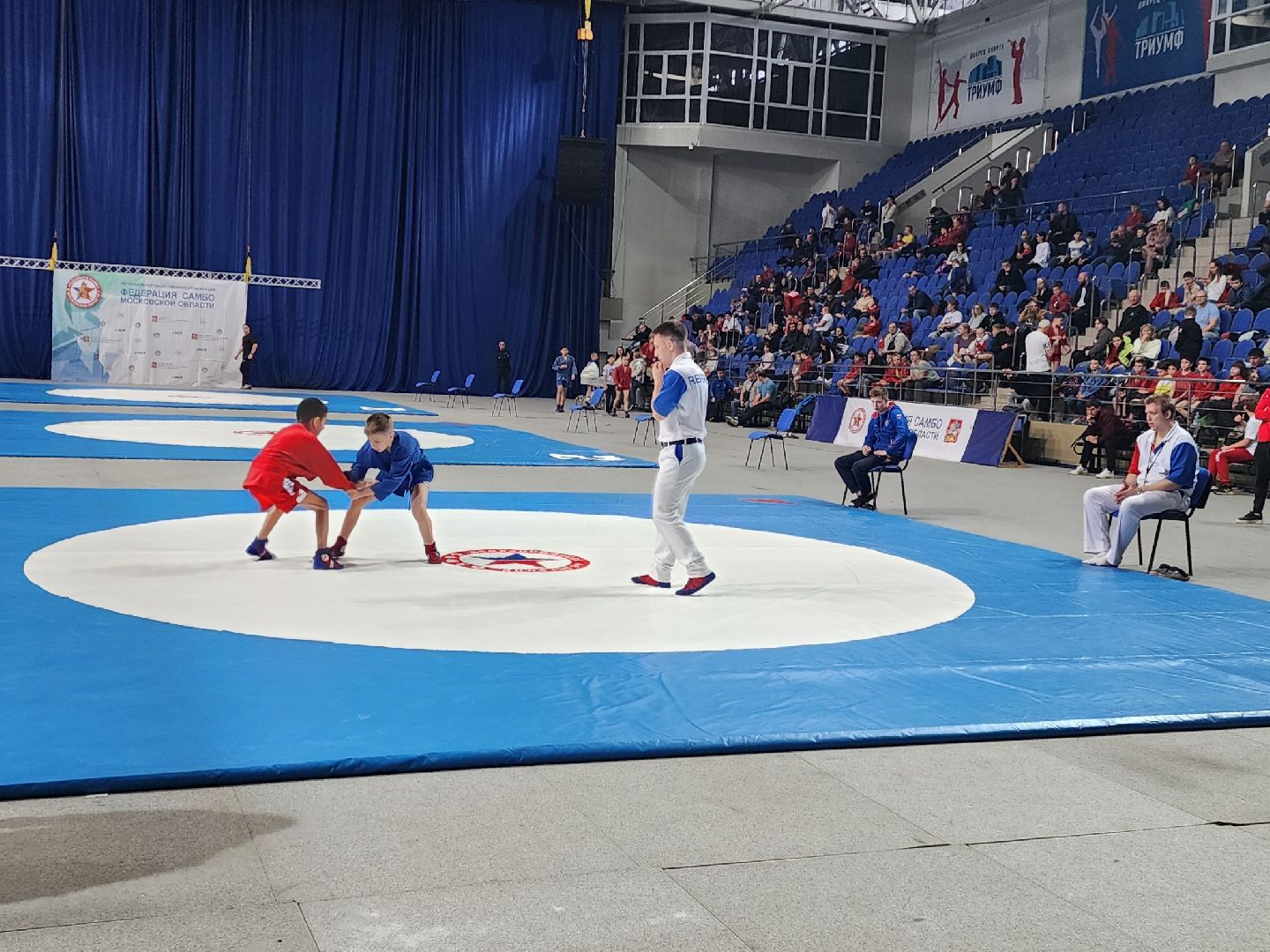 спорт, соревнования, самбо,