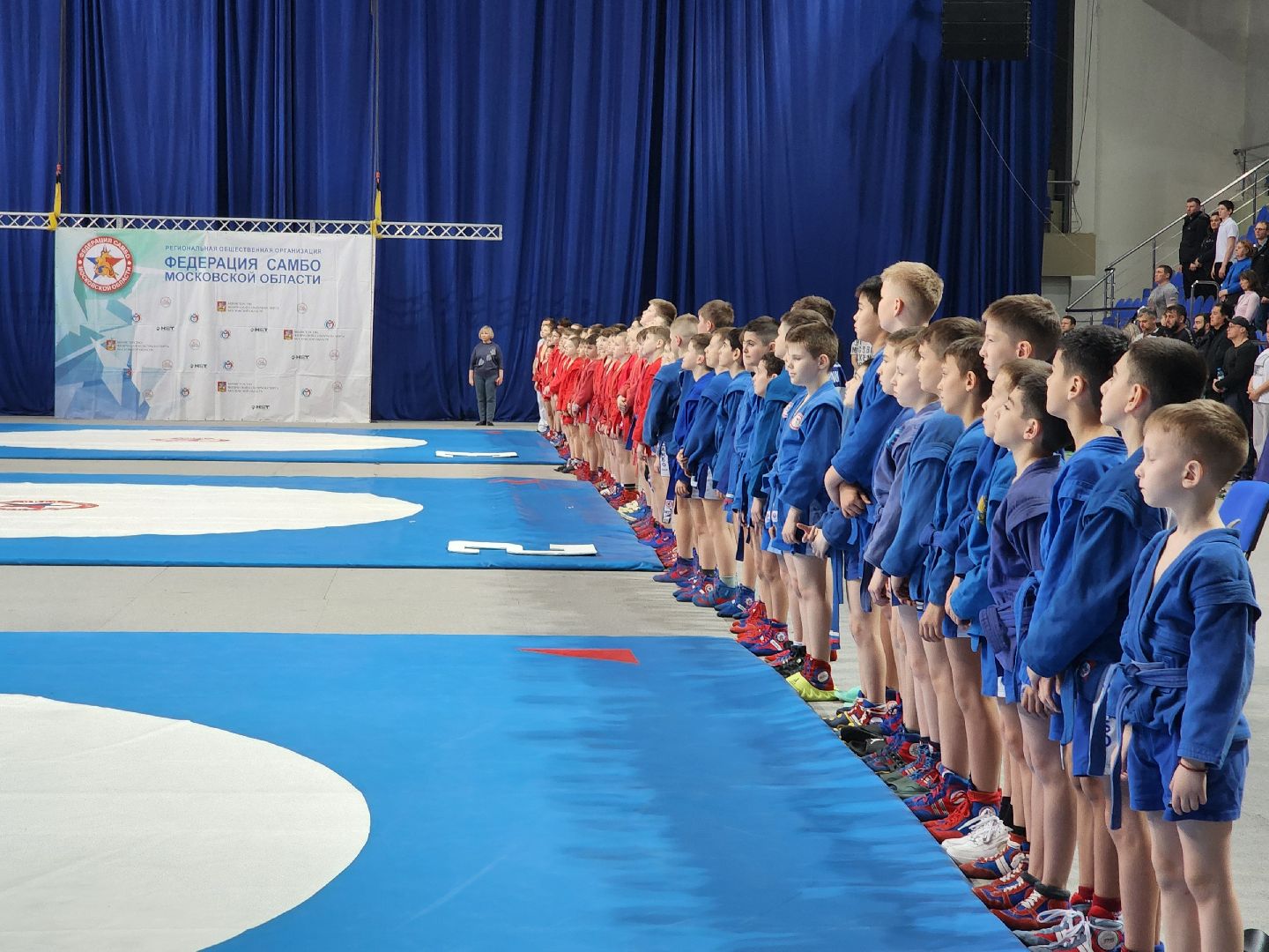 спорт, соревнования, самбо,