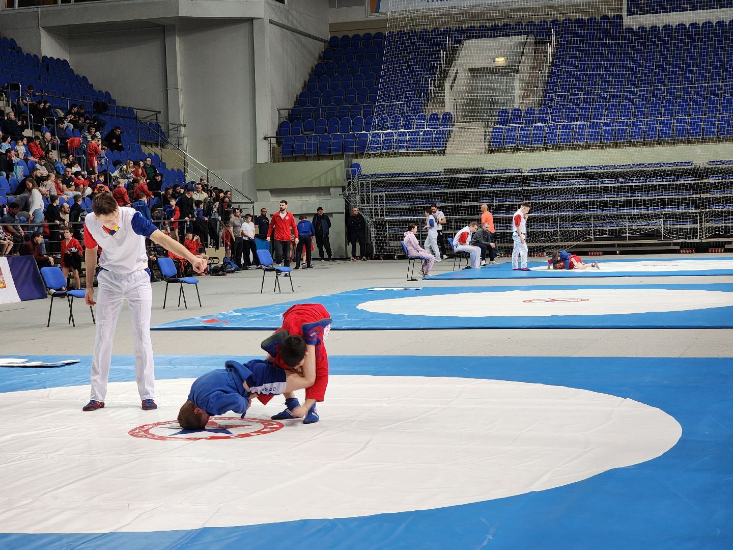 спорт, соревнования, самбо,