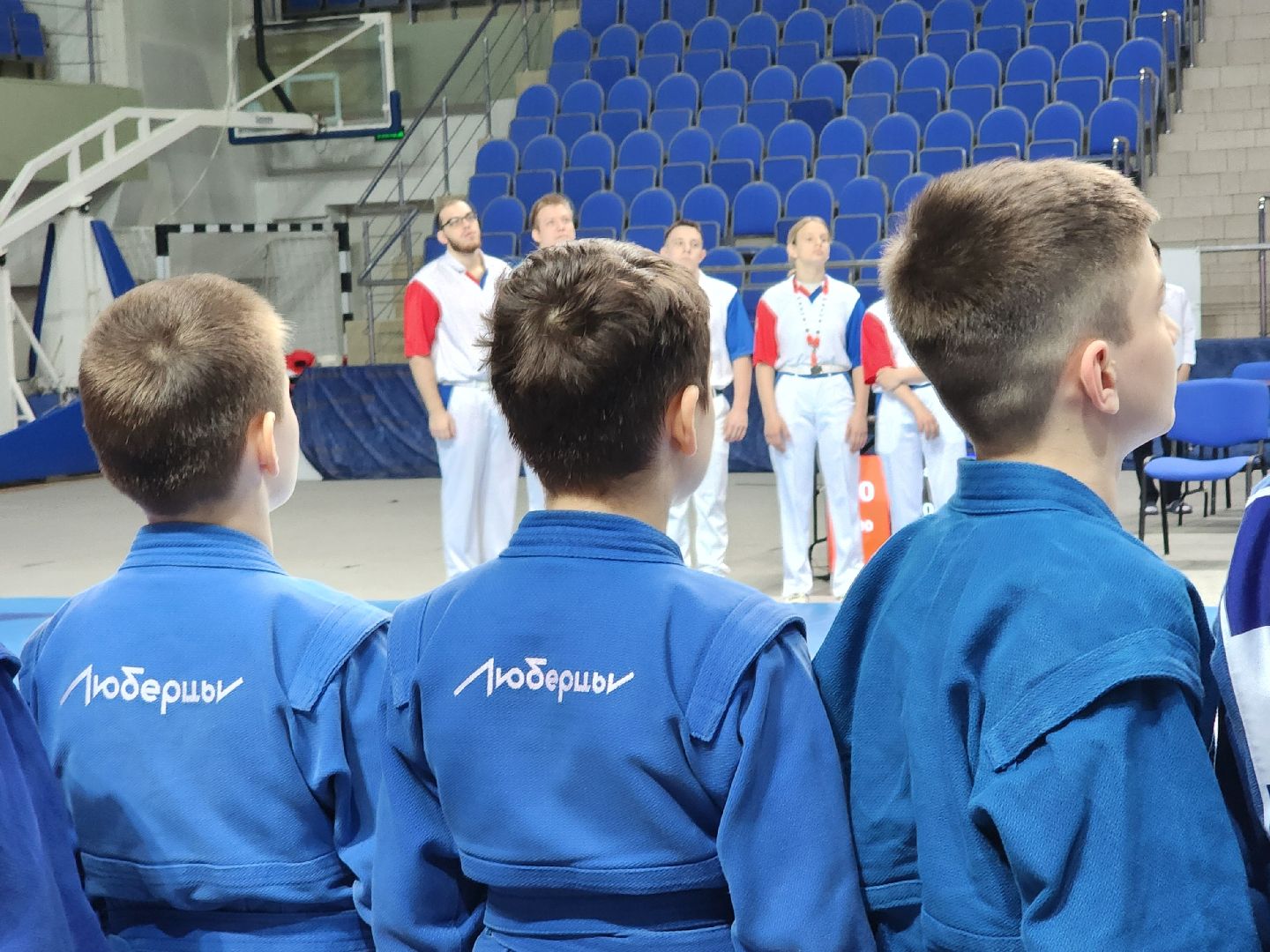 спорт, соревнования, самбо,