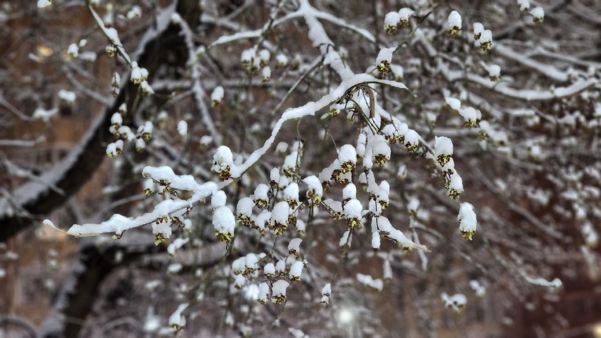 люберцы, сход снега, мокрый снег, автомобили,