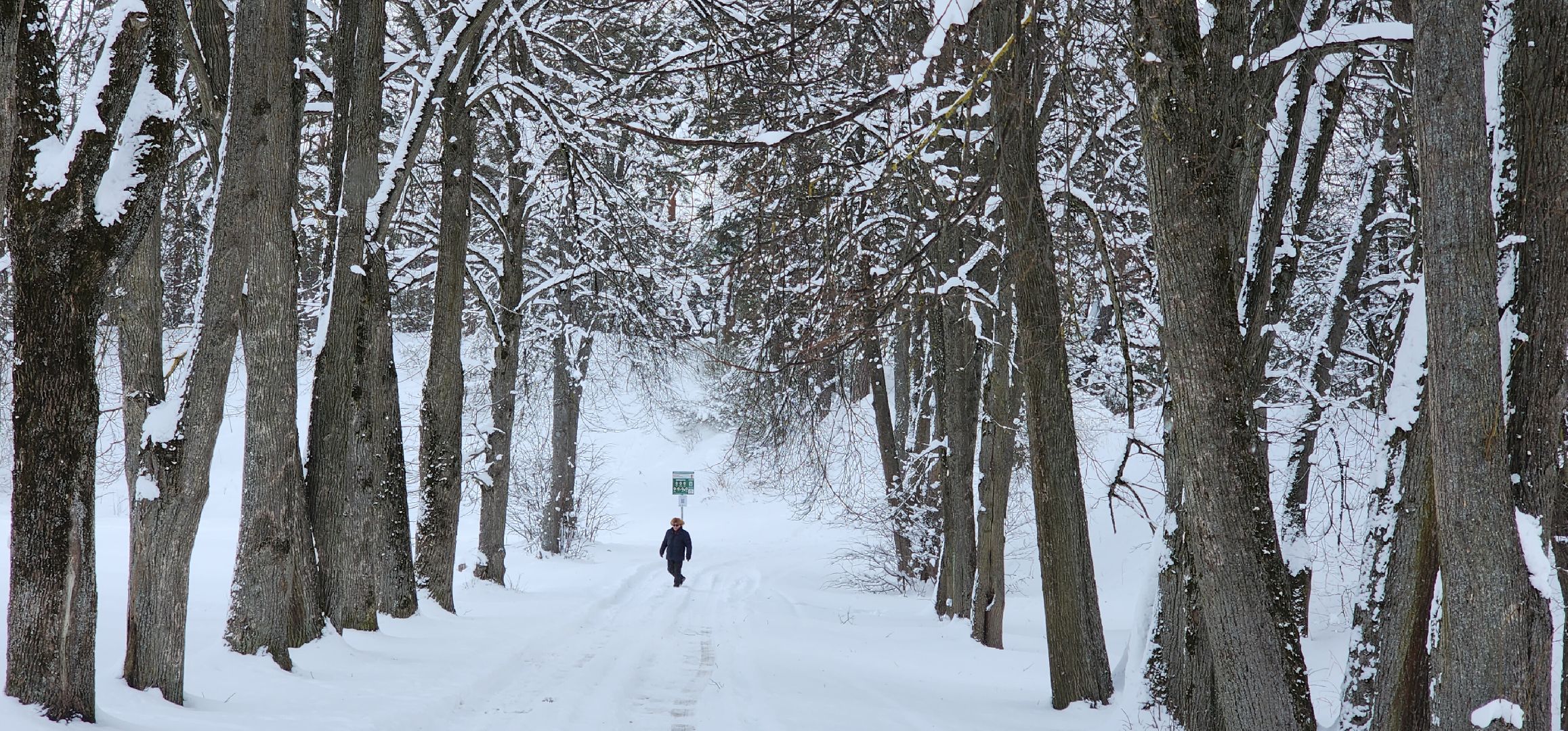Звенигород, История, Религия, Реставрация памятников архитектуры,