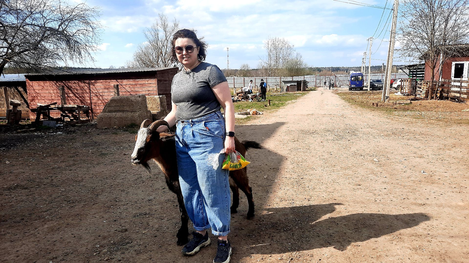 Приют для животных, волонтёры, собаки-инвалиды, Наро-Фоминск